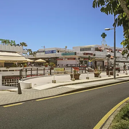 Sunny Terrace Chaparral *